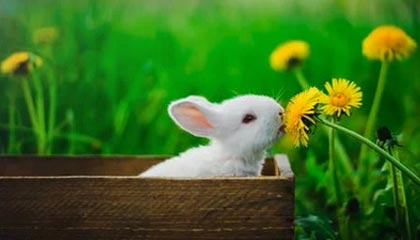 17173新游期待榜：网易《无限大》最新实机公开 腾讯《怪物猎人：旅人》亮相TGS